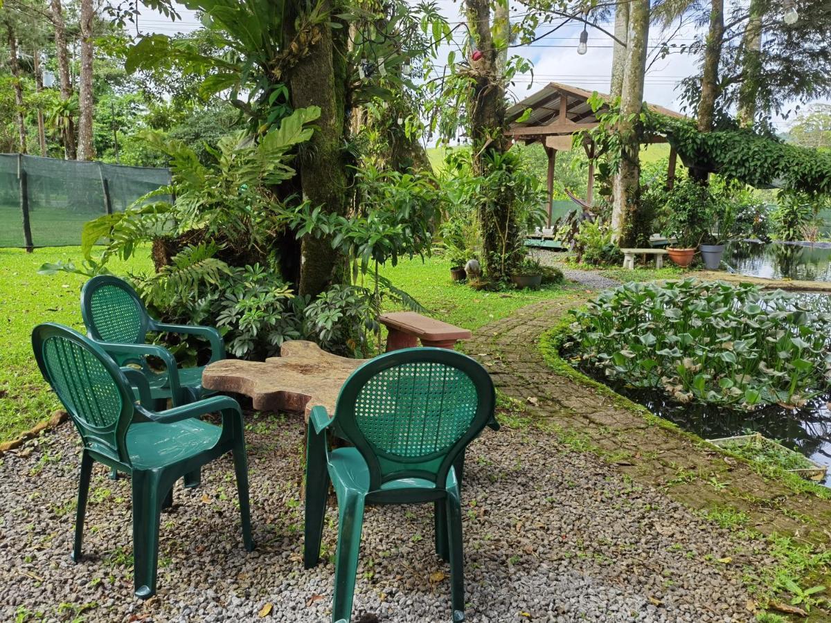 Greenhouse Loft Miravalles Aguas Claras  Exterior foto